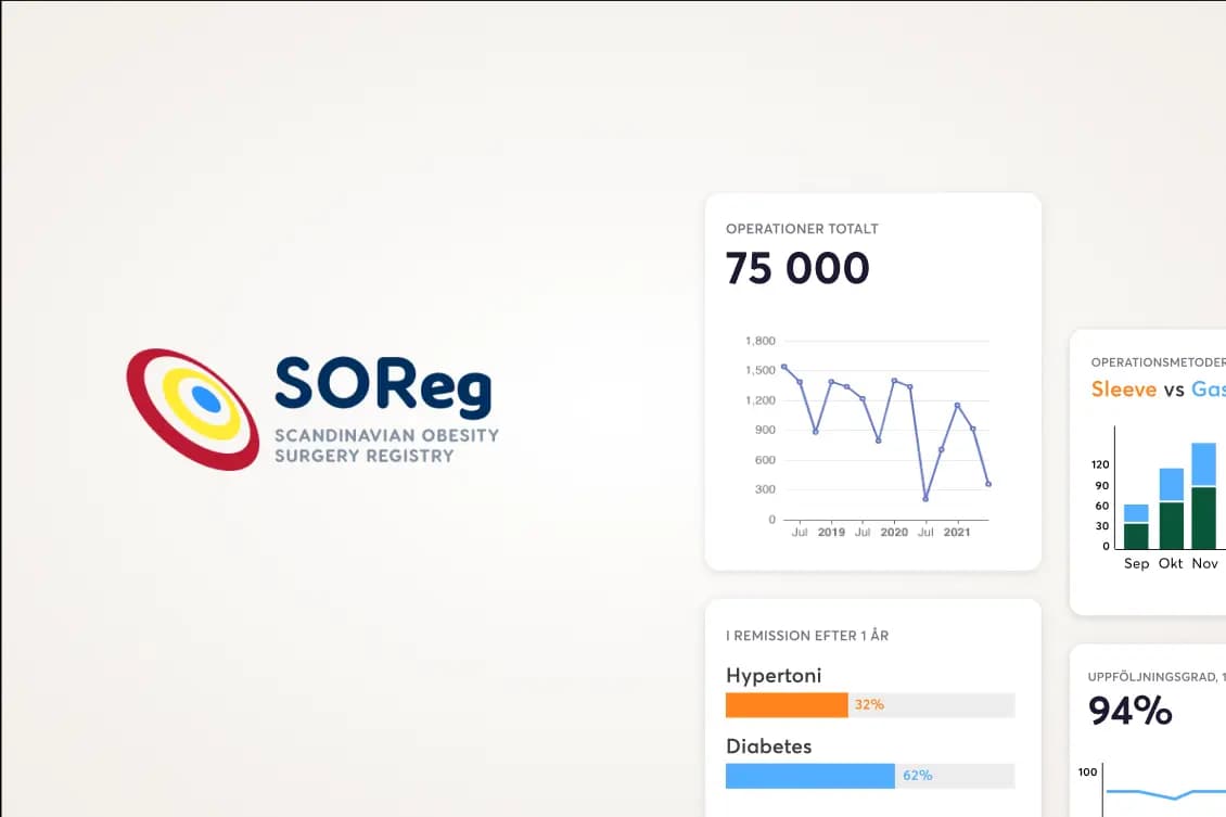 Revamping SoReg´s website for better accessibility