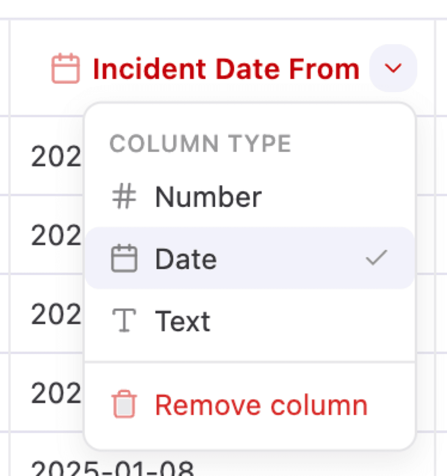 The column type menu with Number, Date and Text options